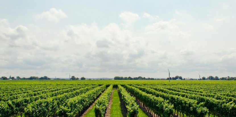 Agriculture & Farming
